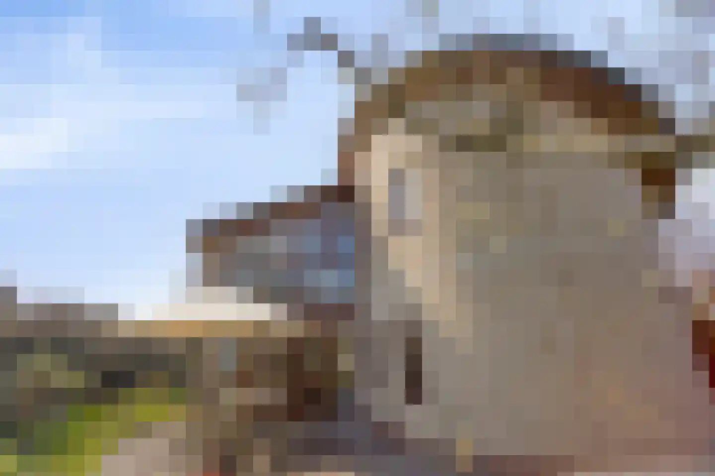 van Glabbeekstraat 4 Rijen thumbnail 35