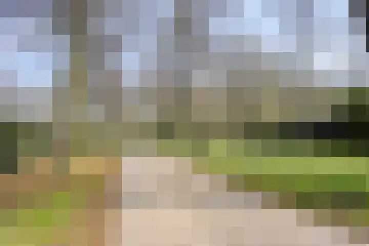 van Glabbeekstraat 4 Rijen thumbnail 39
