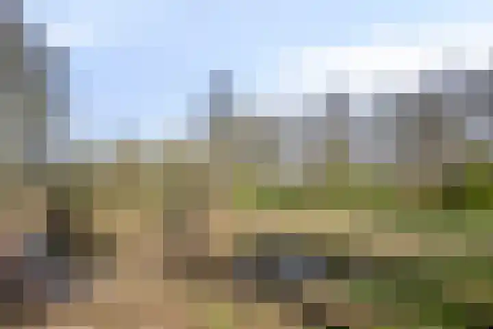 van Glabbeekstraat 4 Rijen thumbnail 40