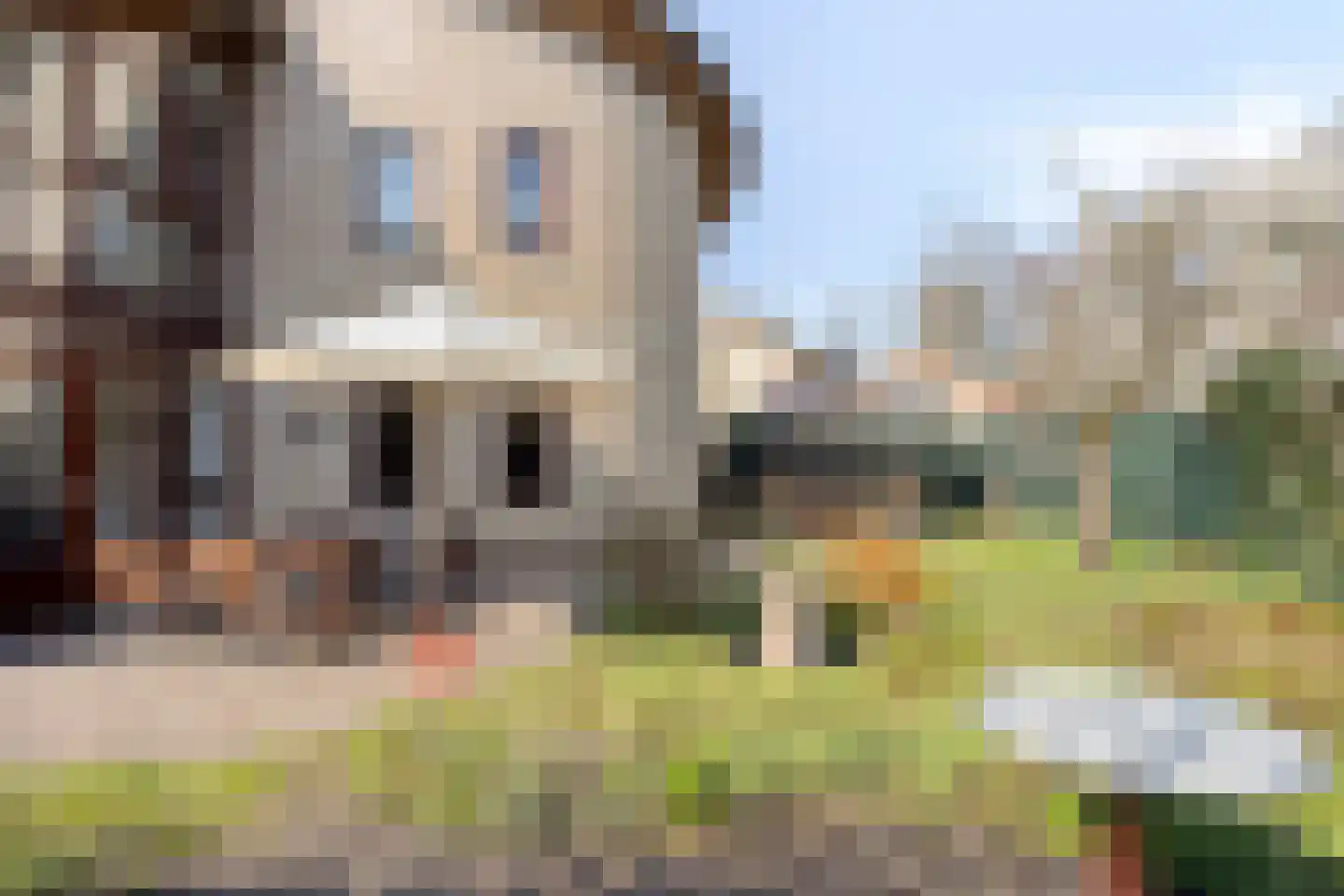 van Glabbeekstraat 4 Rijen thumbnail 5