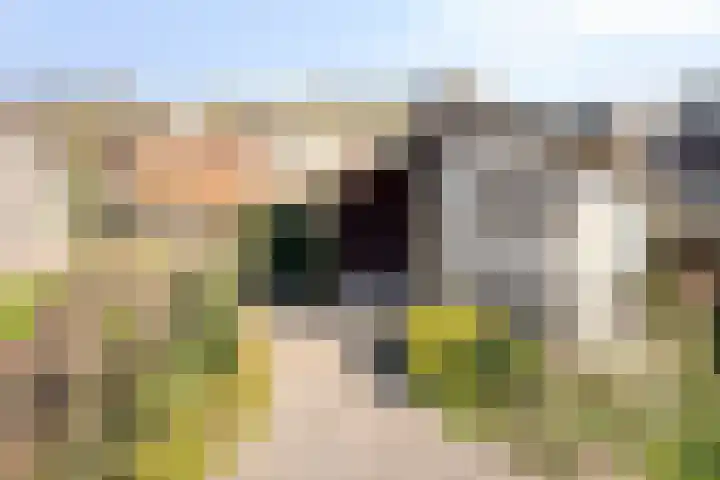 van Glabbeekstraat 4 Rijen thumbnail 6