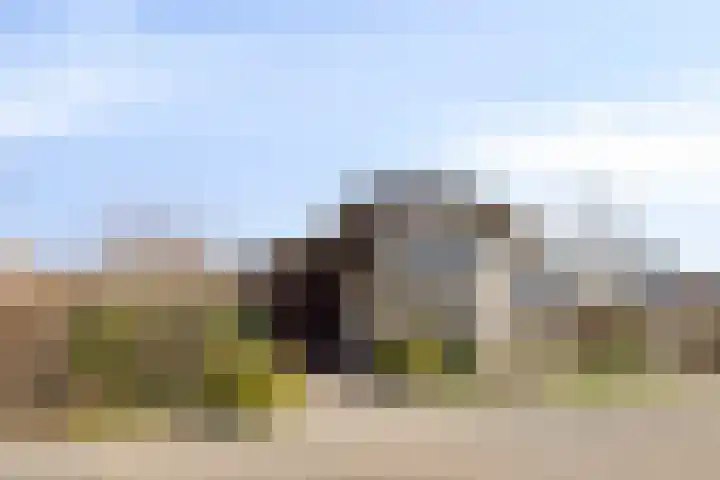 van Glabbeekstraat 4 Rijen thumbnail 7