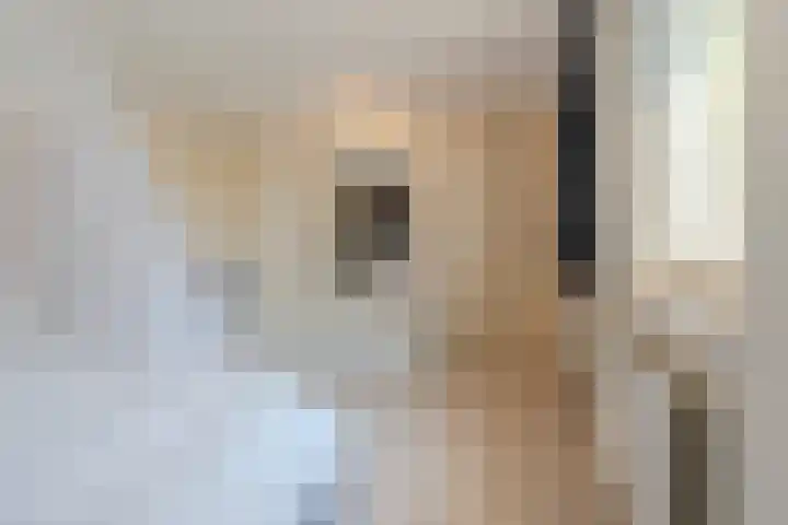 van Glabbeekstraat 7 Rijen thumbnail 45