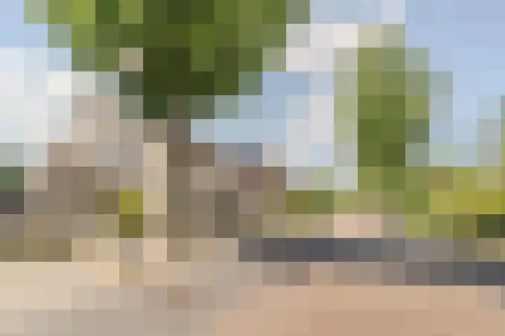 van Glabbeekstraat 7 Rijen thumbnail 6