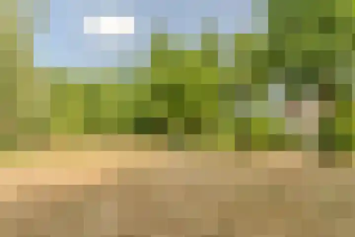 van Glabbeekstraat 7 Rijen thumbnail 62