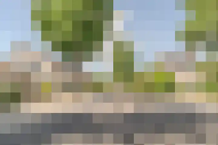 van Glabbeekstraat 7 Rijen thumbnail 64