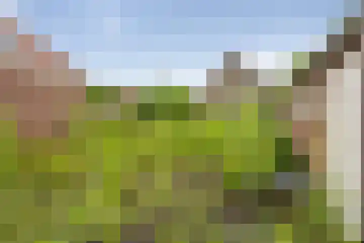 van Glymesstraat 2 Standdaarbuiten thumbnail 39