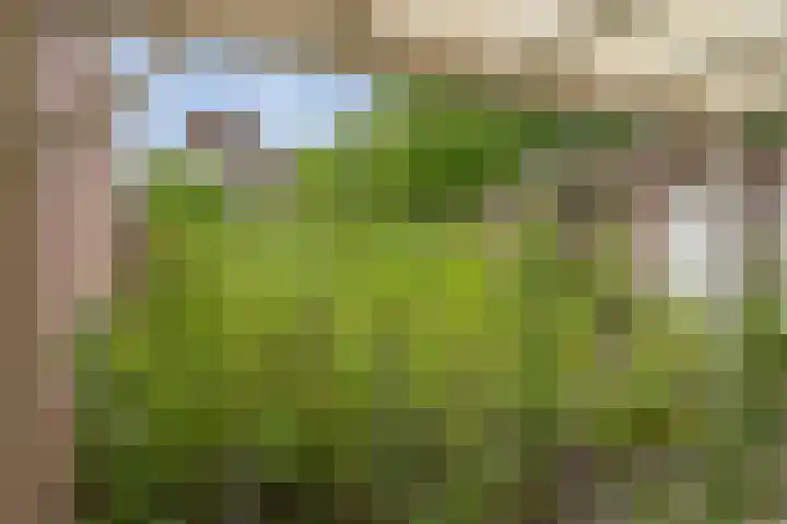 van Glymesstraat 2 Standdaarbuiten thumbnail 40