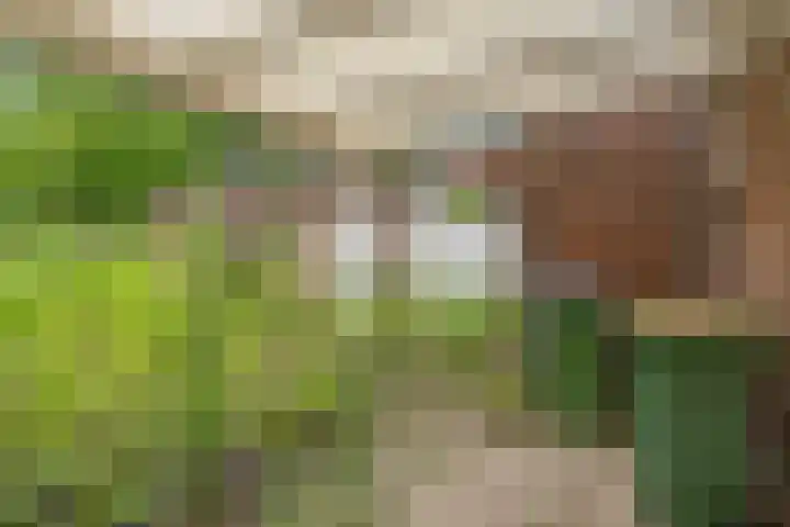 van Glymesstraat 2 Standdaarbuiten thumbnail 41