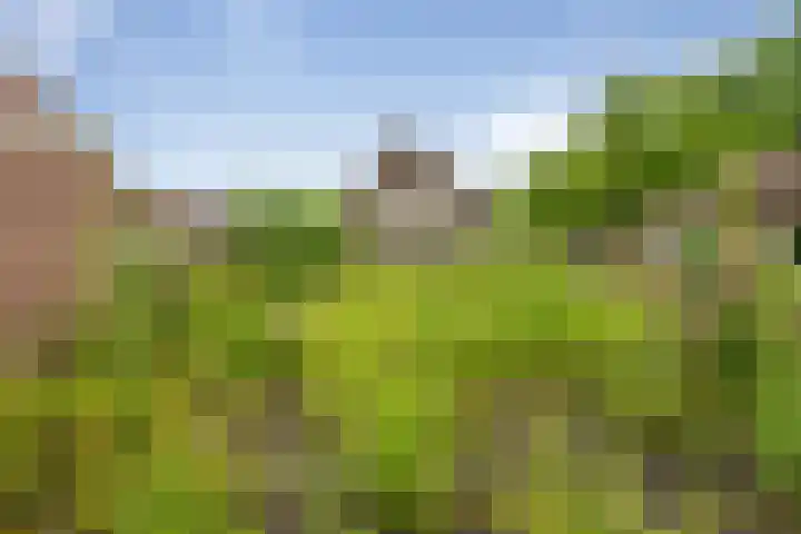 van Glymesstraat 2 Standdaarbuiten thumbnail 42
