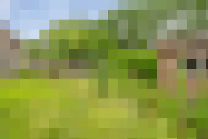 van Glymesstraat 2 Standdaarbuiten thumbnail 44