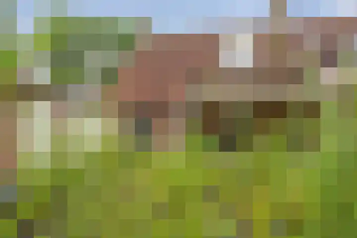 van Glymesstraat 2 Standdaarbuiten thumbnail 45