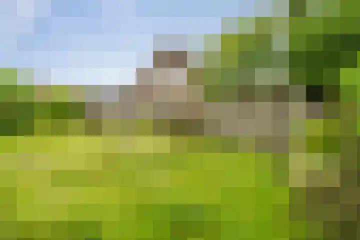 van Glymesstraat 2 Standdaarbuiten thumbnail 46