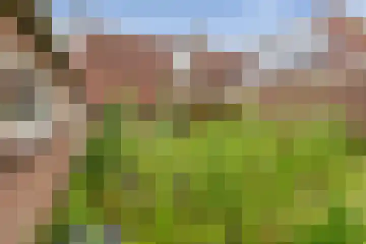 van Glymesstraat 2 Standdaarbuiten thumbnail 49
