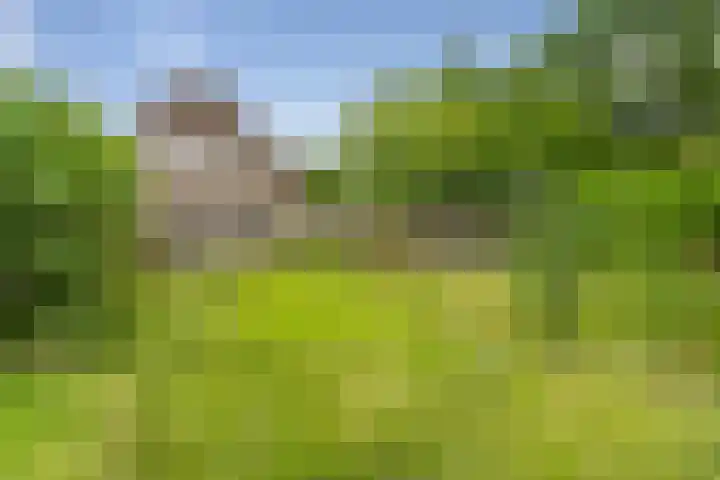 van Glymesstraat 2 Standdaarbuiten thumbnail 7