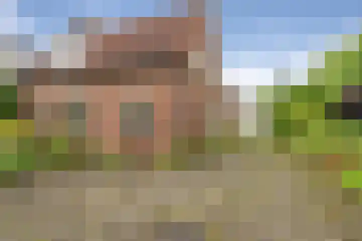 van Glymesstraat 2 Standdaarbuiten thumbnail 9