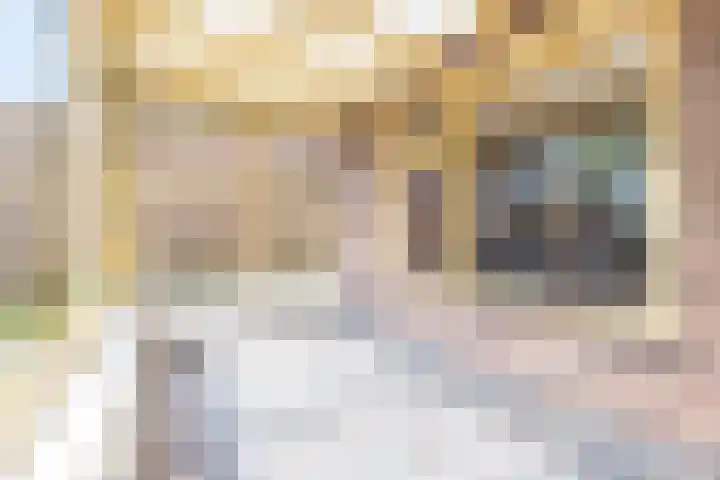 van Glymesstraat 3 Rucphen thumbnail 14
