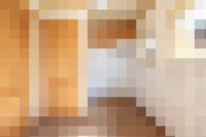 van Glymesstraat 3 Rucphen thumbnail 15