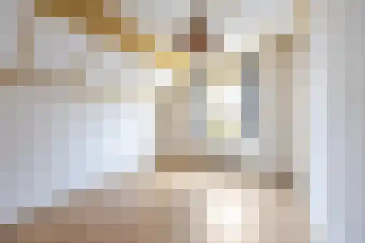 van Glymesstraat 3 Rucphen thumbnail 20
