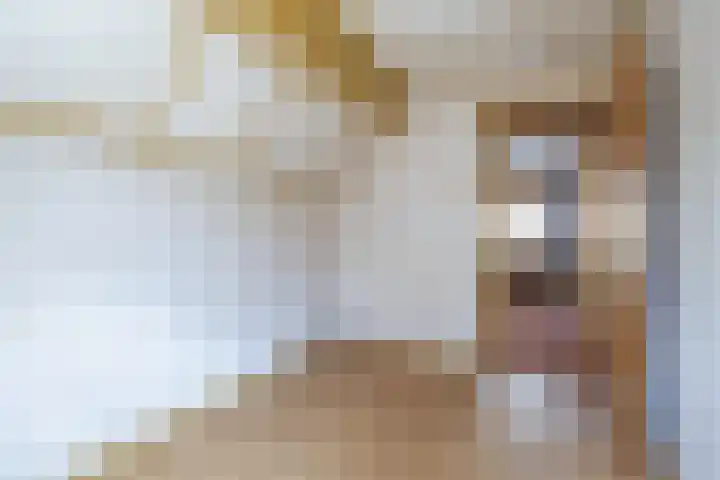 van Glymesstraat 3 Rucphen thumbnail 23