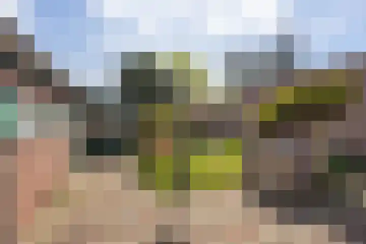 van Glymesstraat 3 Rucphen thumbnail 25