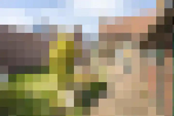 van Glymesstraat 3 Rucphen thumbnail 26