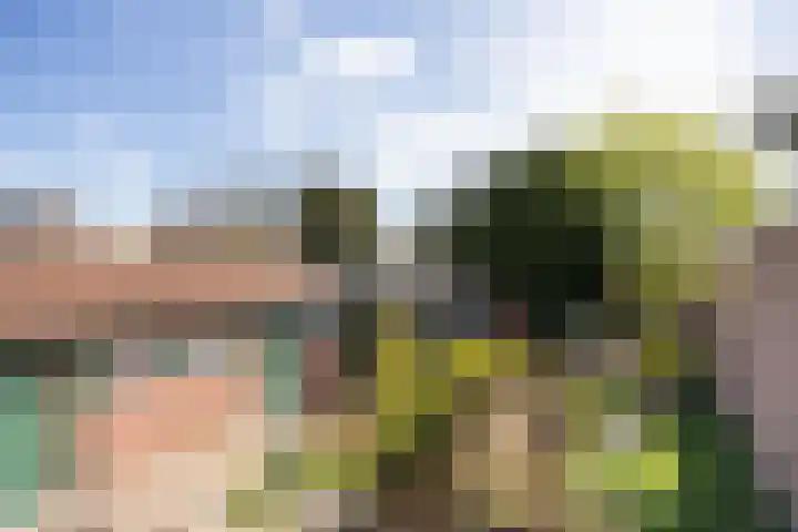 van Glymesstraat 3 Rucphen thumbnail 31