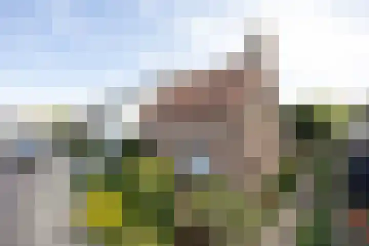 van Glymesstraat 3 Rucphen thumbnail 35