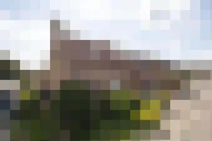 van Glymesstraat 3 Rucphen thumbnail 38