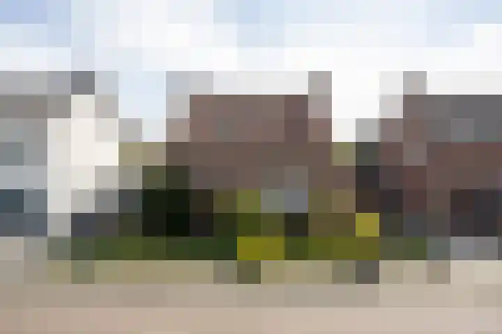 van Glymesstraat 3 Rucphen thumbnail 5