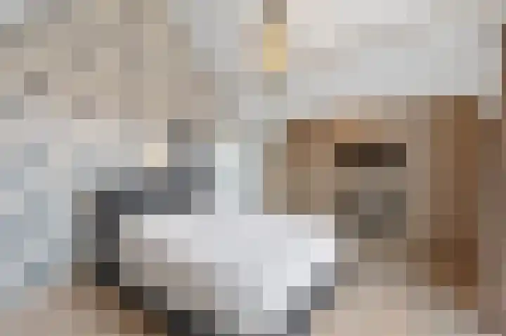 van Glymesstraat 30 Standdaarbuiten thumbnail 30