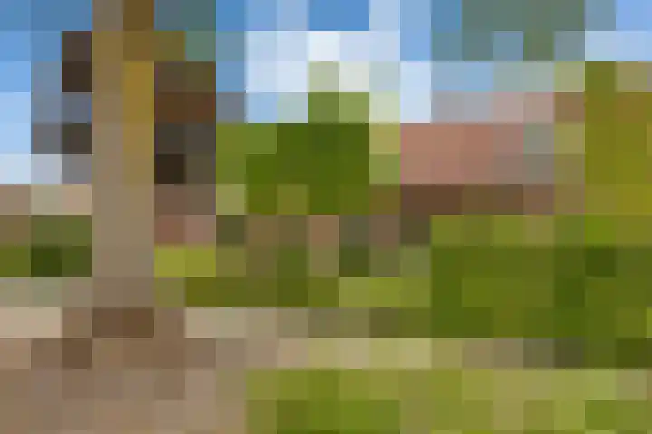 van Glymesstraat 30 Standdaarbuiten thumbnail 62