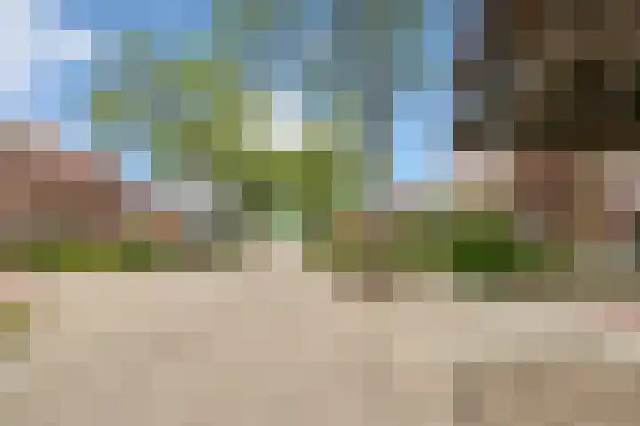van Glymesstraat 30 Standdaarbuiten thumbnail 63