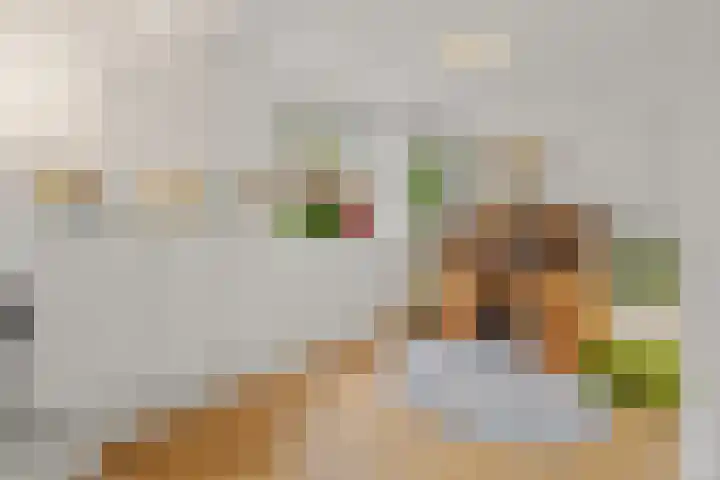van Glymesstraat 30 Standdaarbuiten thumbnail 9