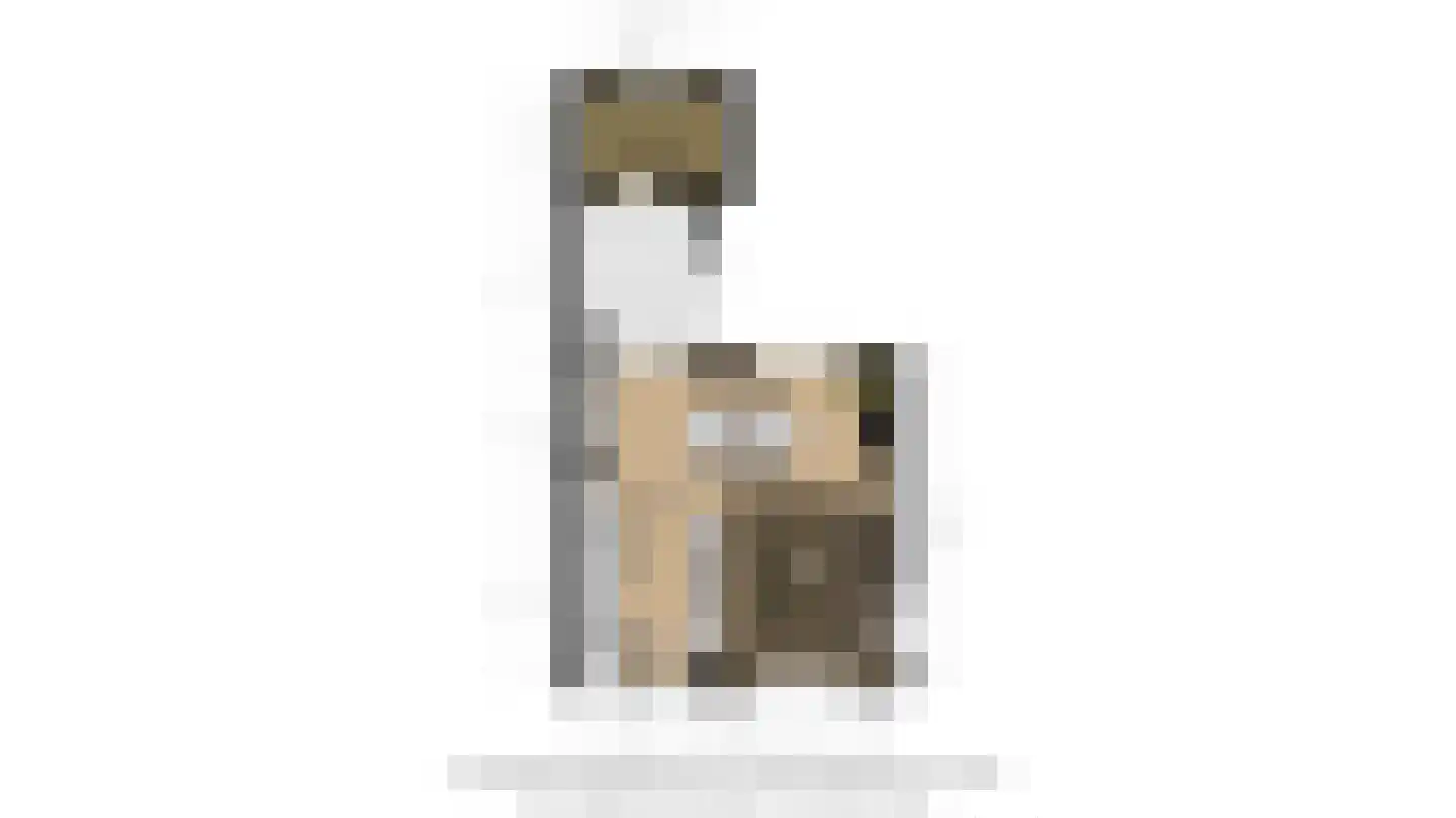 van Glymesstraat 31 Standdaarbuiten thumbnail 31