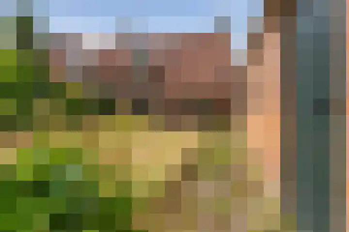 van Glymesstraat 34 Standdaarbuiten thumbnail 30