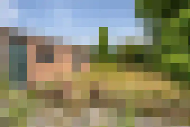 van Glymesstraat 34 Standdaarbuiten thumbnail 7