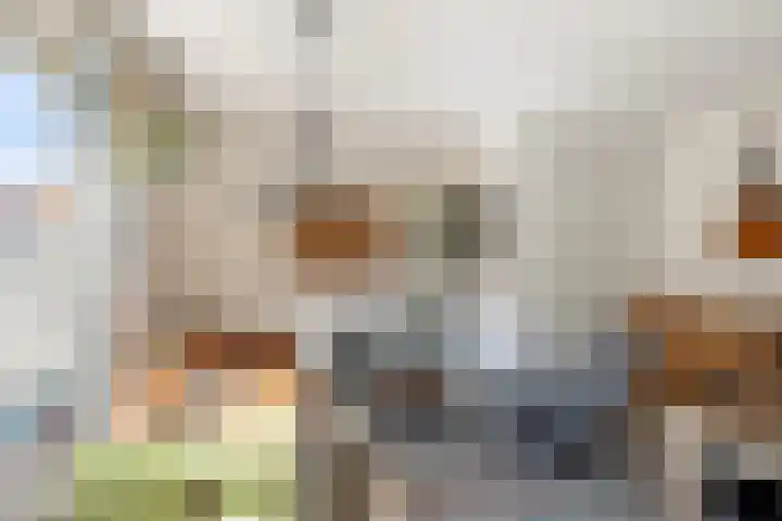 van Gochstraat 10 's-Gravenzande thumbnail 10
