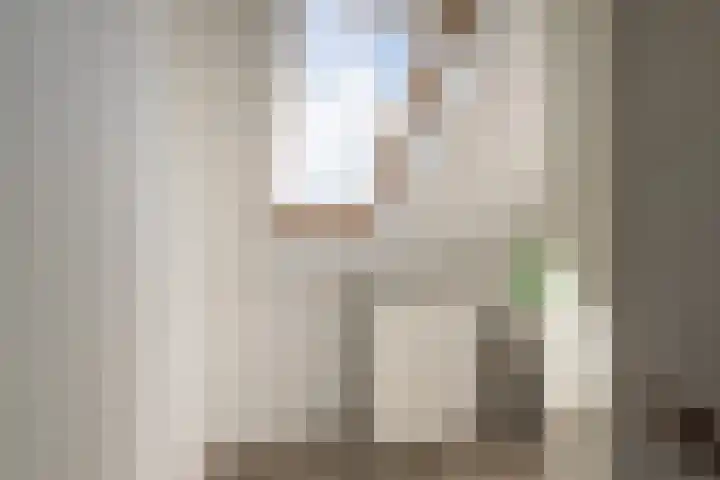 van Gochstraat 10 's-Gravenzande thumbnail 30