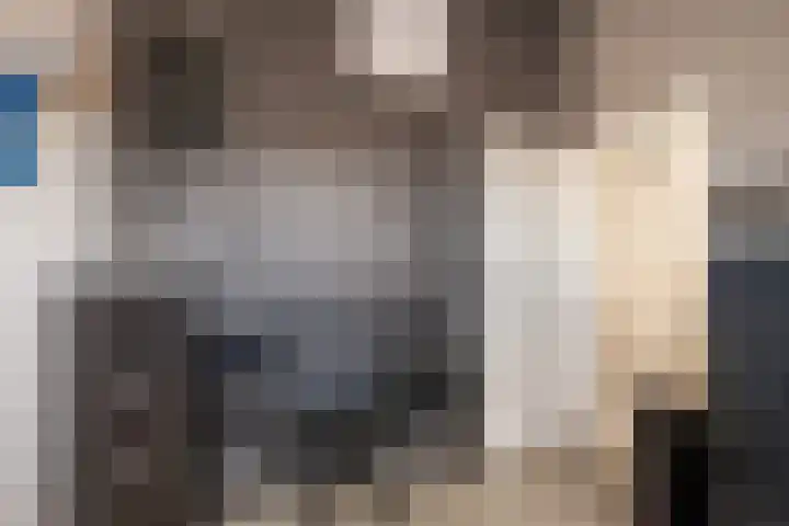 van Gochstraat 10 's-Gravenzande thumbnail 35