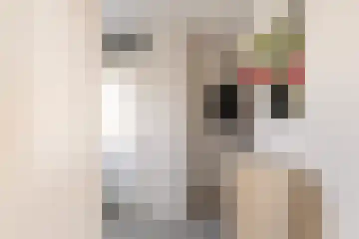 van Gochstraat 10 's-Gravenzande thumbnail 8