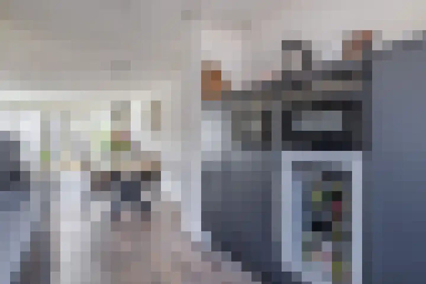 van Gochstraat 22 's-Gravenzande thumbnail 12