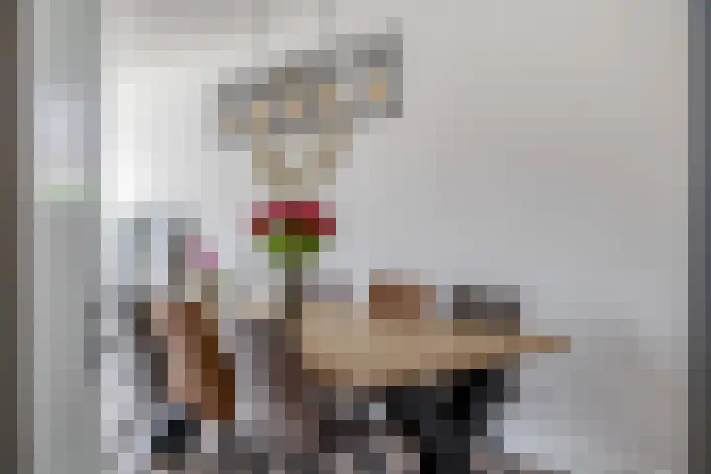 van Gochstraat 22 's-Gravenzande thumbnail 12