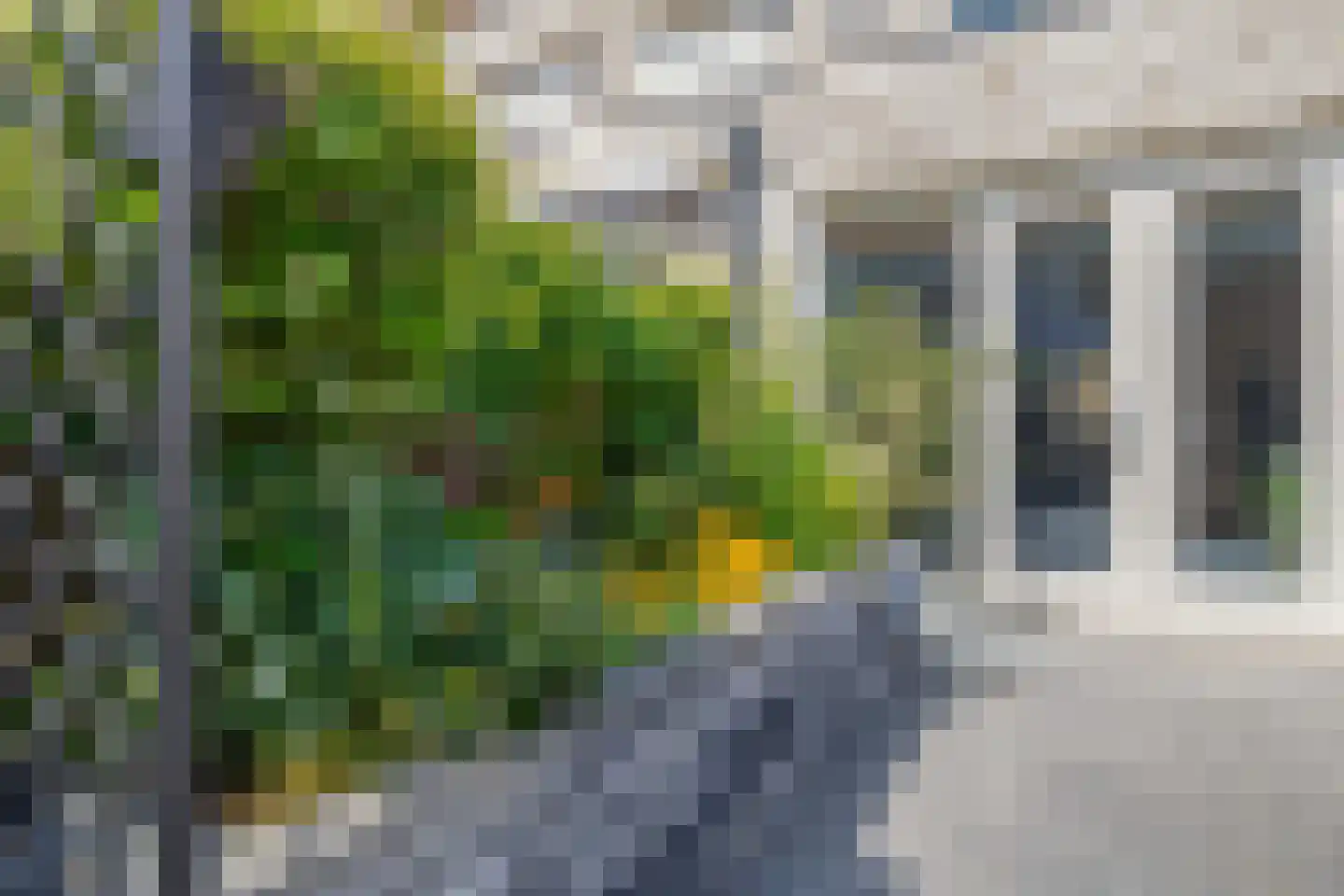 van Gochstraat 22 's-Gravenzande thumbnail 17