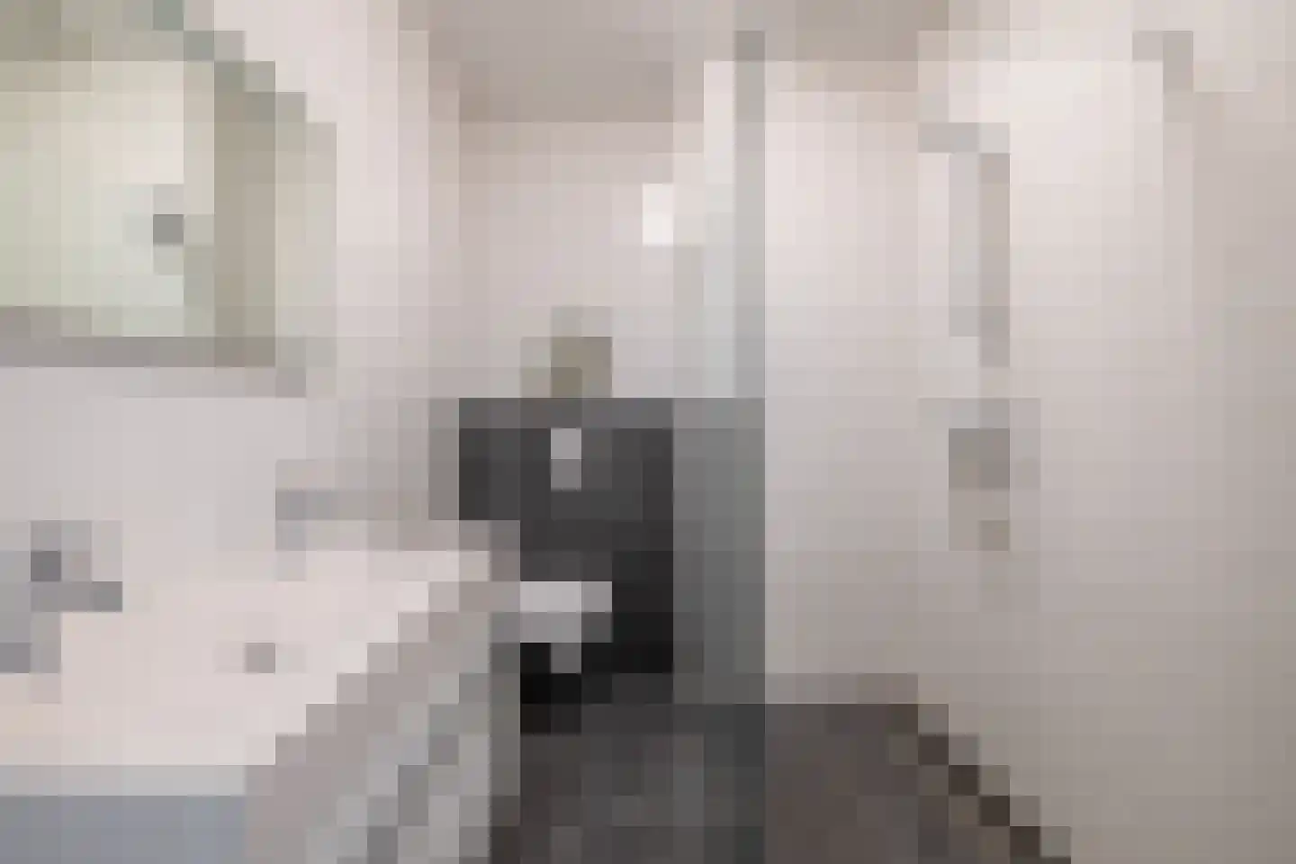 van Gochstraat 22 's-Gravenzande thumbnail 19