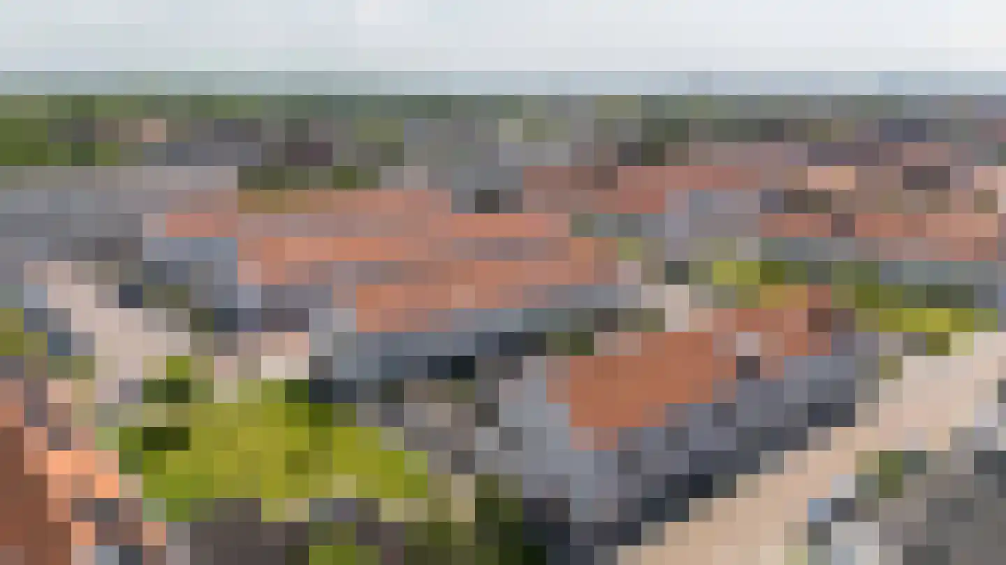 van Gochstraat 22 's-Gravenzande thumbnail 34