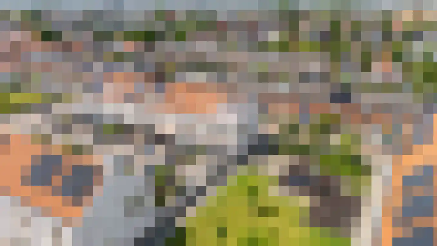 van Gochstraat 22 's-Gravenzande thumbnail 35
