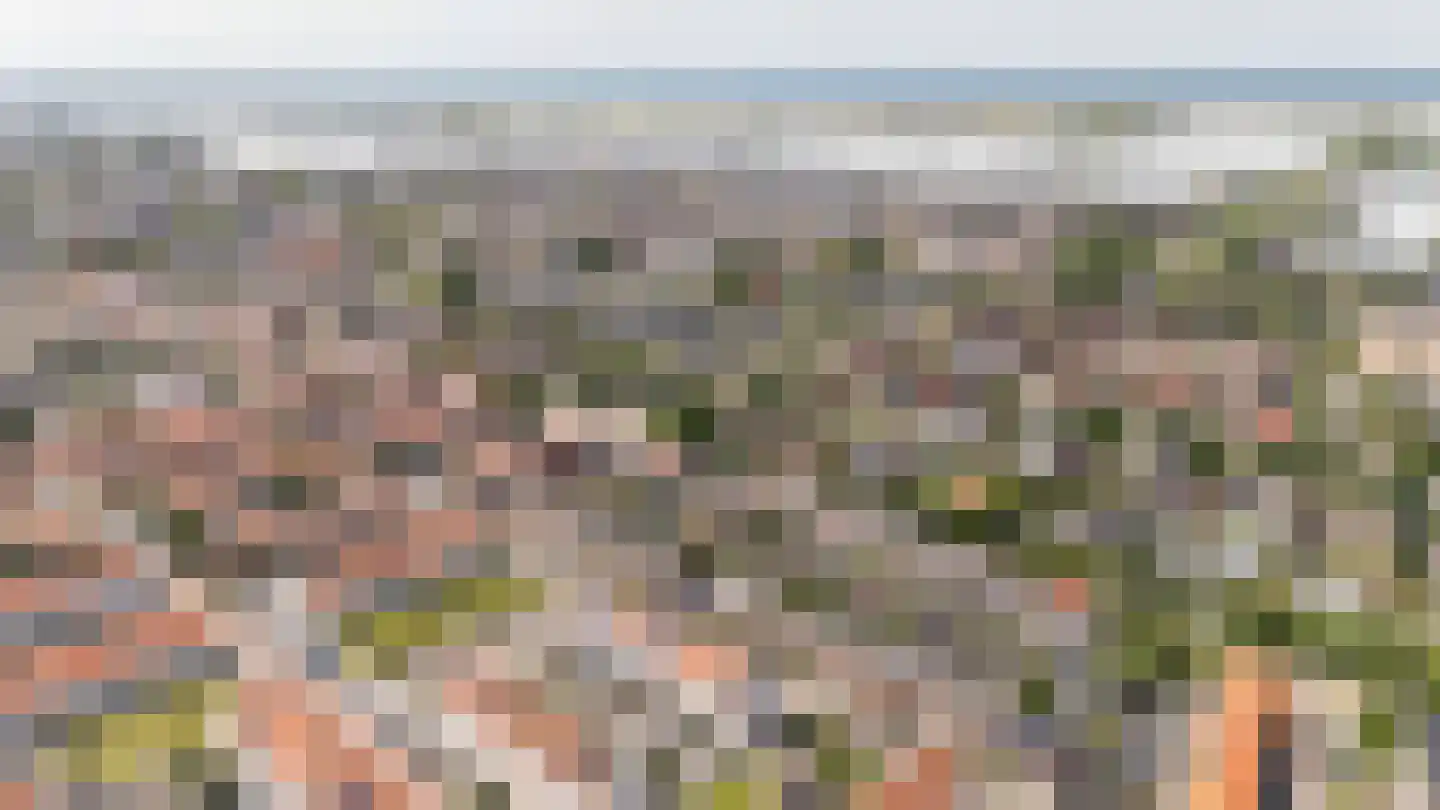 van Gochstraat 22 's-Gravenzande thumbnail 37