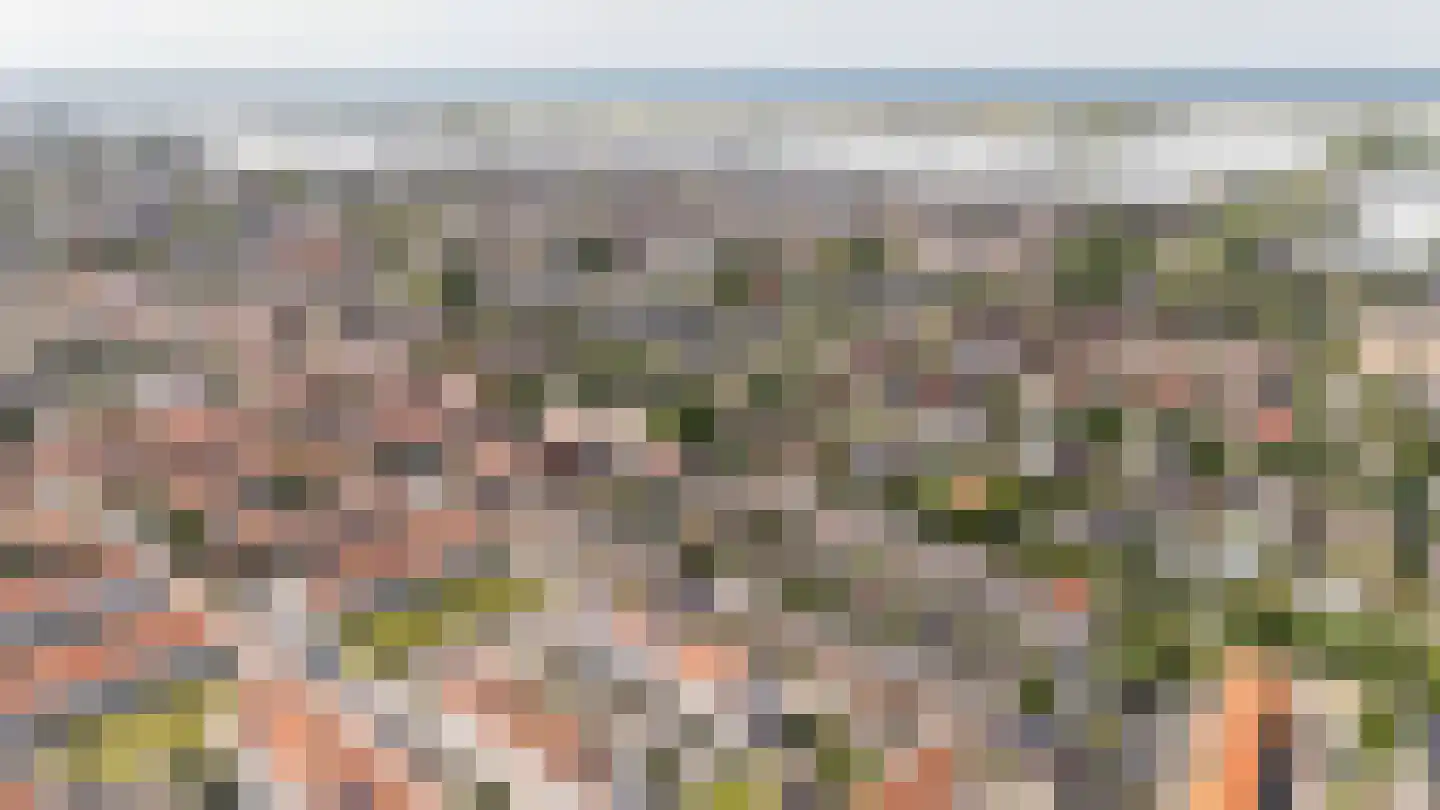 van Gochstraat 22 's-Gravenzande thumbnail 40