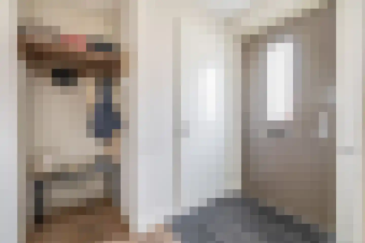 van Gochstraat 22 's-Gravenzande thumbnail 6